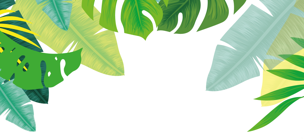 banniere feuille haut